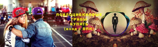 а пвп мука Вяземский