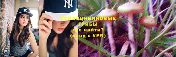 а пвп мука Вяземский