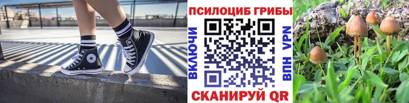 Псилоцибиновые грибы мицелий  Знаменск 