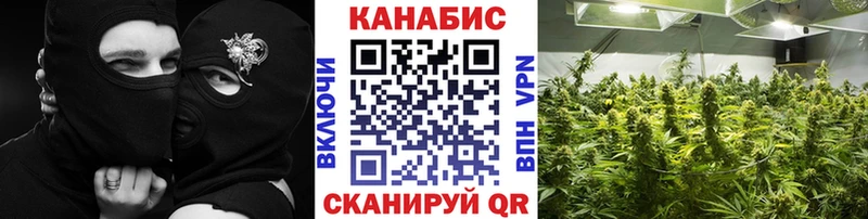 наркота  Знаменск  Канабис план 